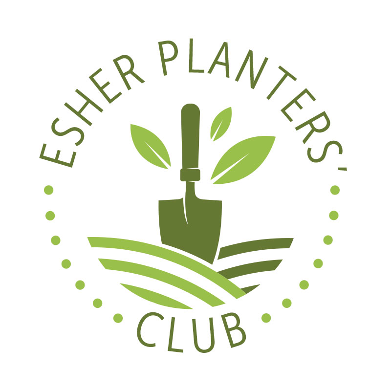 esher